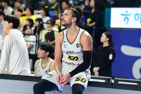 창원 LG 마레이 복귀 기사 사진